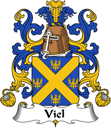 Coat of Arms from France for Viel
