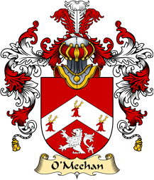 Irish Family Coat of Arms (v.25a) O