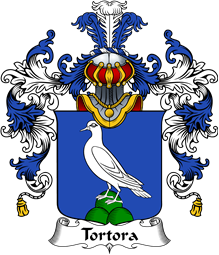 Italian Family Coat of Arms (v.25b) Tortora