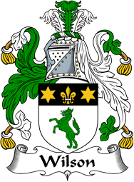 Irish Coat of Arms for Wilson II