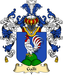 Italian Family Coat of Arms (v.25a) Galli