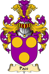 English Coat of Arms (v.23) for the family Pace