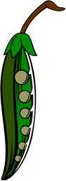 Pea-cod (or pod)