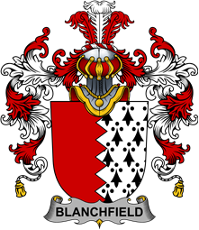Irish Family Coat of Arms (v.25b) Blanchfield