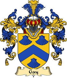 English Family Coat of Arms (v.25) Gay