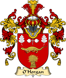 Irish Family Coat of Arms (v.25a) O