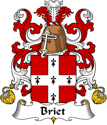 Coat of Arms from France for Briet