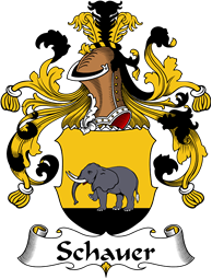 German Wappen Coat of Arms for Schauer