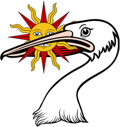Pelican Hd Erased Holding Sun