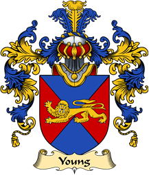 English Family Coat of Arms (v.25) Young II