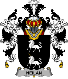 Irish Family Coat of Arms (v.25b) Neilan or O