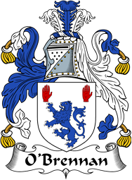 Irish Coat of Arms for O