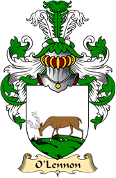 Irish Family Coat of Arms (v.23) for O