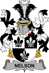 Irish Coat of Arms for Nelson or Nealson