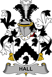 Irish Coat of Arms for Hall or MacHall