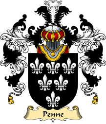 Irish Family Coat of Arms (v.25a) Penne