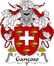Portuguese Coat of Arms for Gançoso