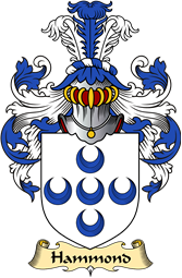 Irish Family Coat of Arms (v.23) for Hammond