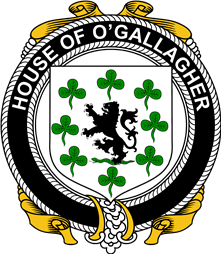 Irish Coat of Arms Badge for the O