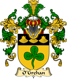 Irish Family Coat of Arms (v.25a) O