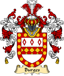 Irish Family Coat of Arms (v.25a) Burges