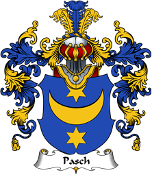 German Wappen Coat of Arms (v.25) Pasch