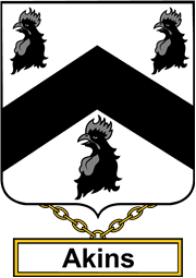 English Coat of Arms Shield Badge for Akins or Aiken
