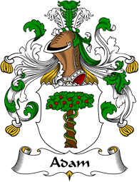 German Wappen Coat of Arms for Adam