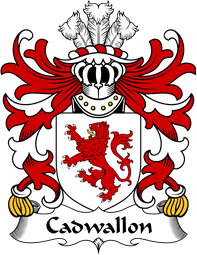 Welsh Coat of Arms for Cadwallon (AP MADOG)