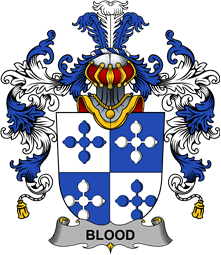 Irish Family Coat of Arms (v.25b) Blood