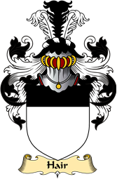 Scottish Family Coat of Arms (v.23) for Hair