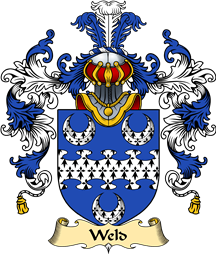 English Family Coat of Arms (v.25) Weld