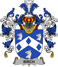 Irish Family Coat of Arms (v.25b) Birch