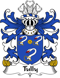 Welsh Coat of Arms for Tully (Bishop of St. David’s)