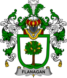 Irish Family Coat of Arms (v.25b) Flanagan or O