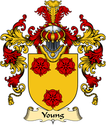 English Family Coat of Arms (v.25) Young I