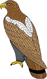 Imperial Eagle