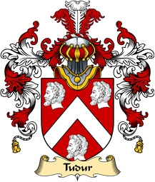 Welsh Family Coat of Arms (v.25) Tudur (AB EDNYFED FYCHAN)