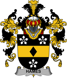 Irish Family Coat of Arms (v.25b) Hames