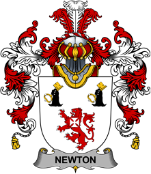 Irish Family Coat of Arms (v.25b) Newton