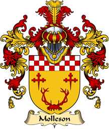 Scottish Family Coat of Arms (v.25) Molleson