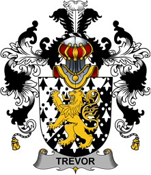Irish Family Coat of Arms (v.25b) Trevor