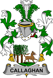 Irish Coat of Arms for Callaghan or O