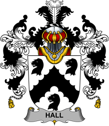 Irish Family Coat of Arms (v.25b) Hall or MacHall