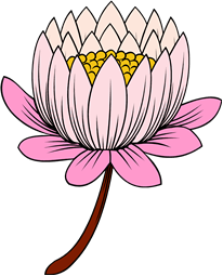 Lotus (Lily Pad) Flower