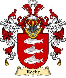 Irish Family Coat of Arms (v.25a) Roche