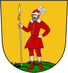 Swiss Coat of Arms for Megken