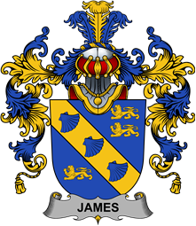 Irish Family Coat of Arms (v.25b) James
