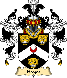 English Family Coat of Arms (v.25) Hayes