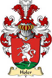 v.23 Coat of Family Arms from Germany for Holer